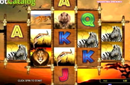 55 Superior Casino에서는 무료 스핀으로 보증금이 없습니다.